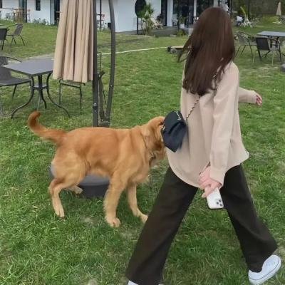 反之亦爱